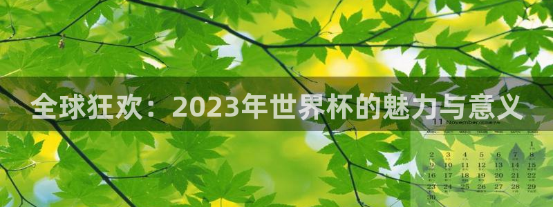 2026世界杯买球：全球狂欢：2023年世界杯的魅力与意义