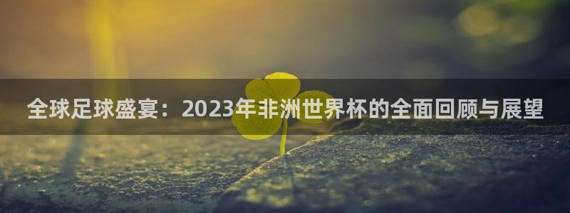 2026年世界杯：全球足球盛宴：2023年非洲世界杯的全面回顾与展望
