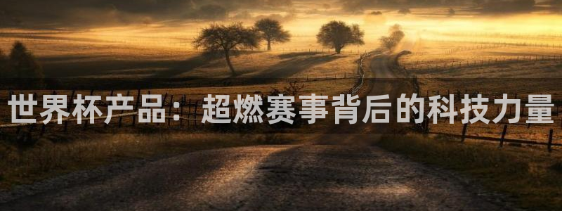 世界杯预选赛欧洲赛区积分榜：世界杯产品：超燃赛事背后的科技力量