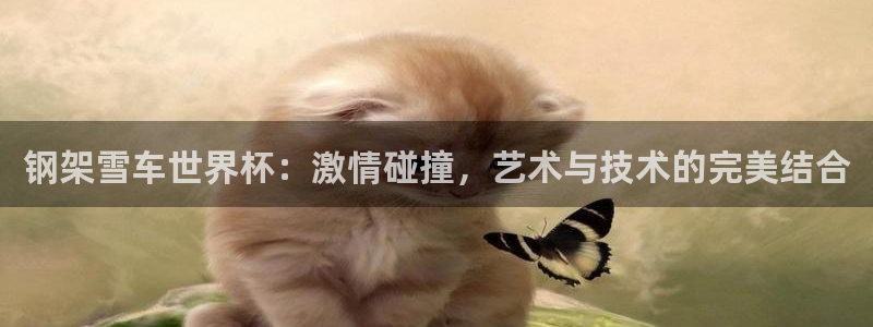 世俱杯直播：钢架雪车世界杯：激情碰撞，艺术与技术的完美结合