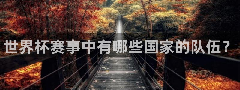 法国杯2026赛程表：世界杯赛事中有哪些国家的队伍？