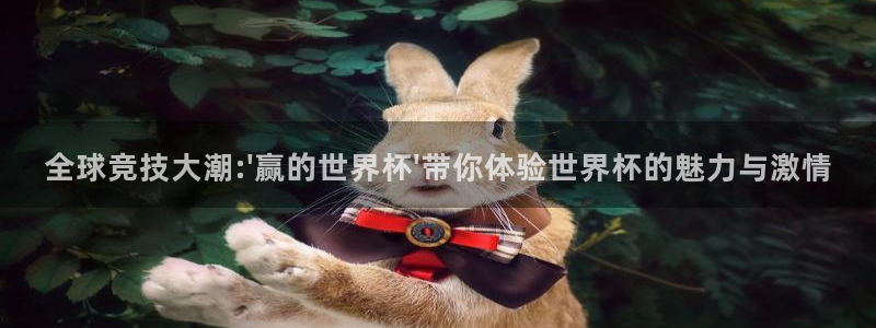 2026世界杯直播：全球竞技大潮:\'赢的世界杯\'带你体验世界杯的魅力与激情