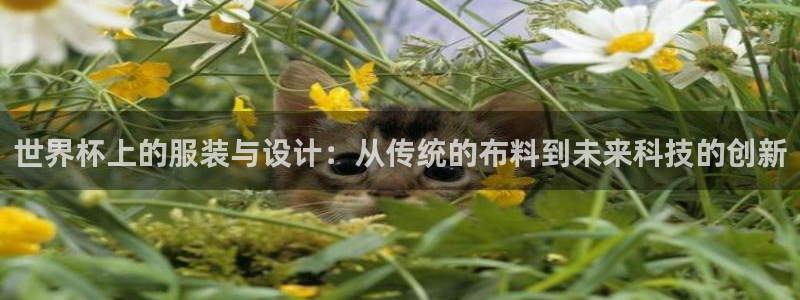 今年世界杯：世界杯上的服装与设计：从传统的布料到未来科技的创新