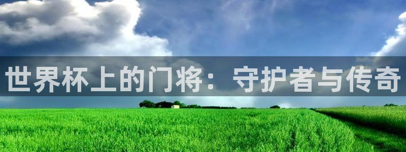 世界杯球队：世界杯上的门将：守护者与传奇