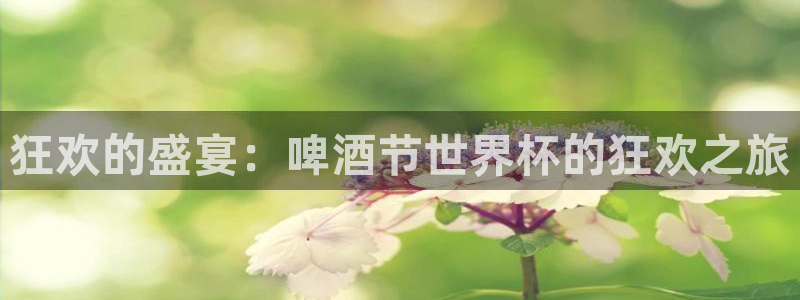 英足总杯直播：狂欢的盛宴：啤酒节世界杯的狂欢之旅